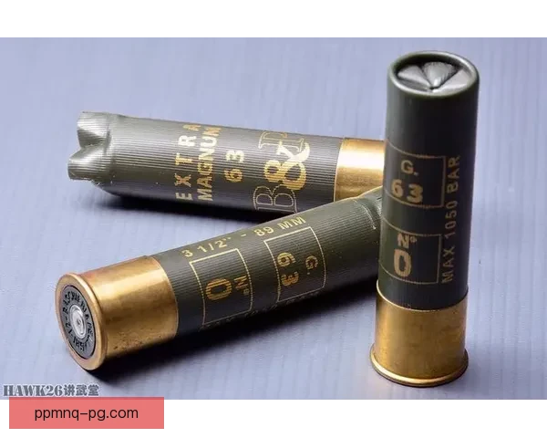 射击规则解析与实战技巧分享